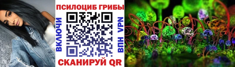 Псилоцибиновые грибы Psilocybine cubensis  как найти закладки  Жуковка 